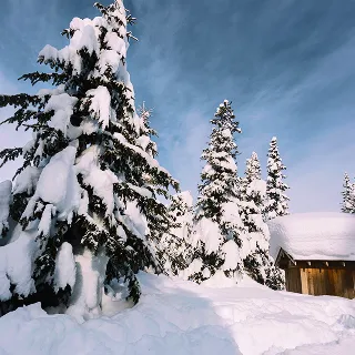 Качественные комплектующие и гарантия надёжности